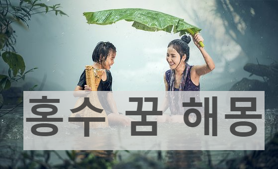 홍수 꿈해몽