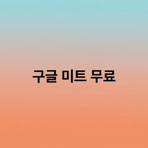 구글 미트 무료