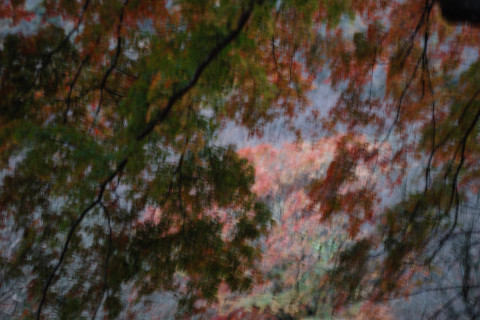  [올백뉴스] 노상현 사진 전시회 I’ll Remember November 개최