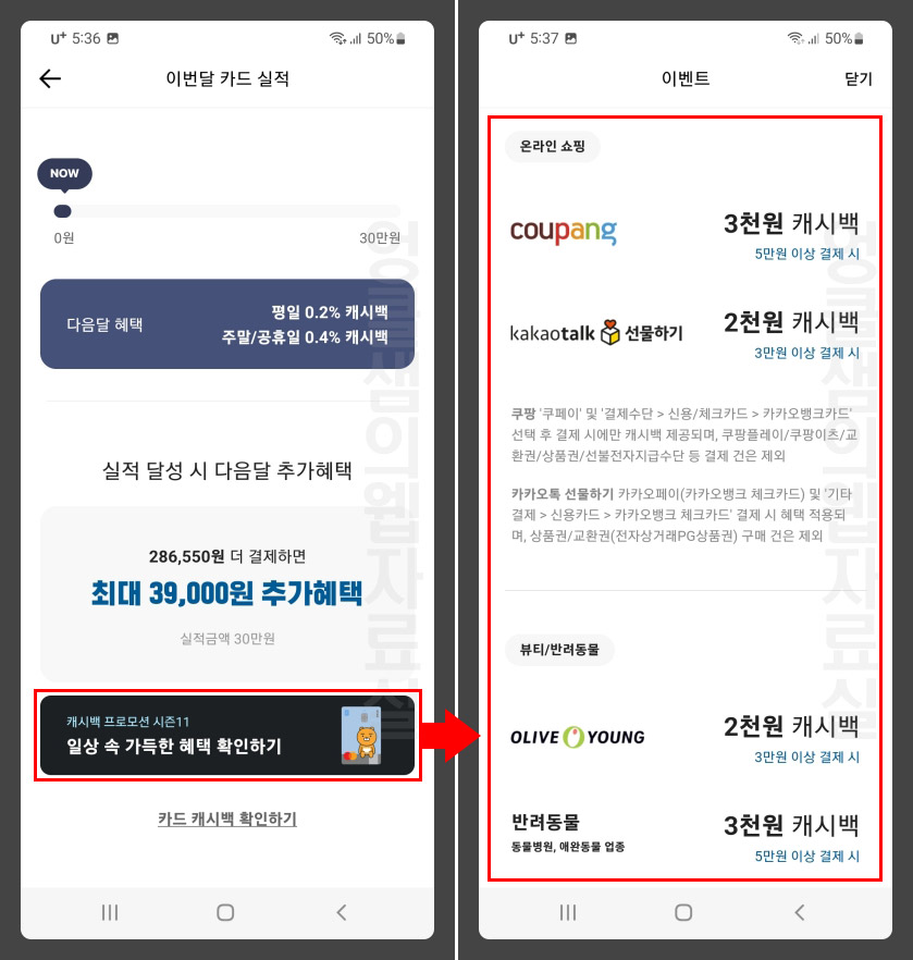  카카오뱅크 체크카드 사용 실적 및 캐시백 내역 확인 방법