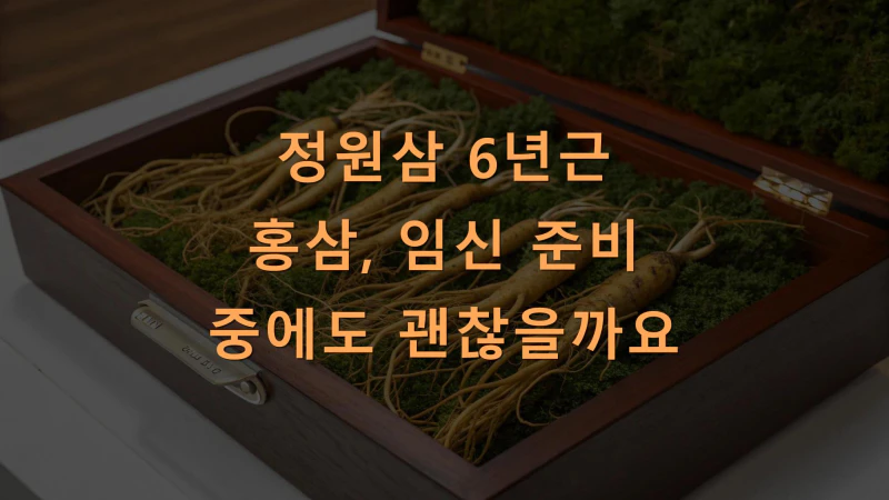 정원삼 6년근 홍삼, 임신 준비 중에도 괜찮을까요