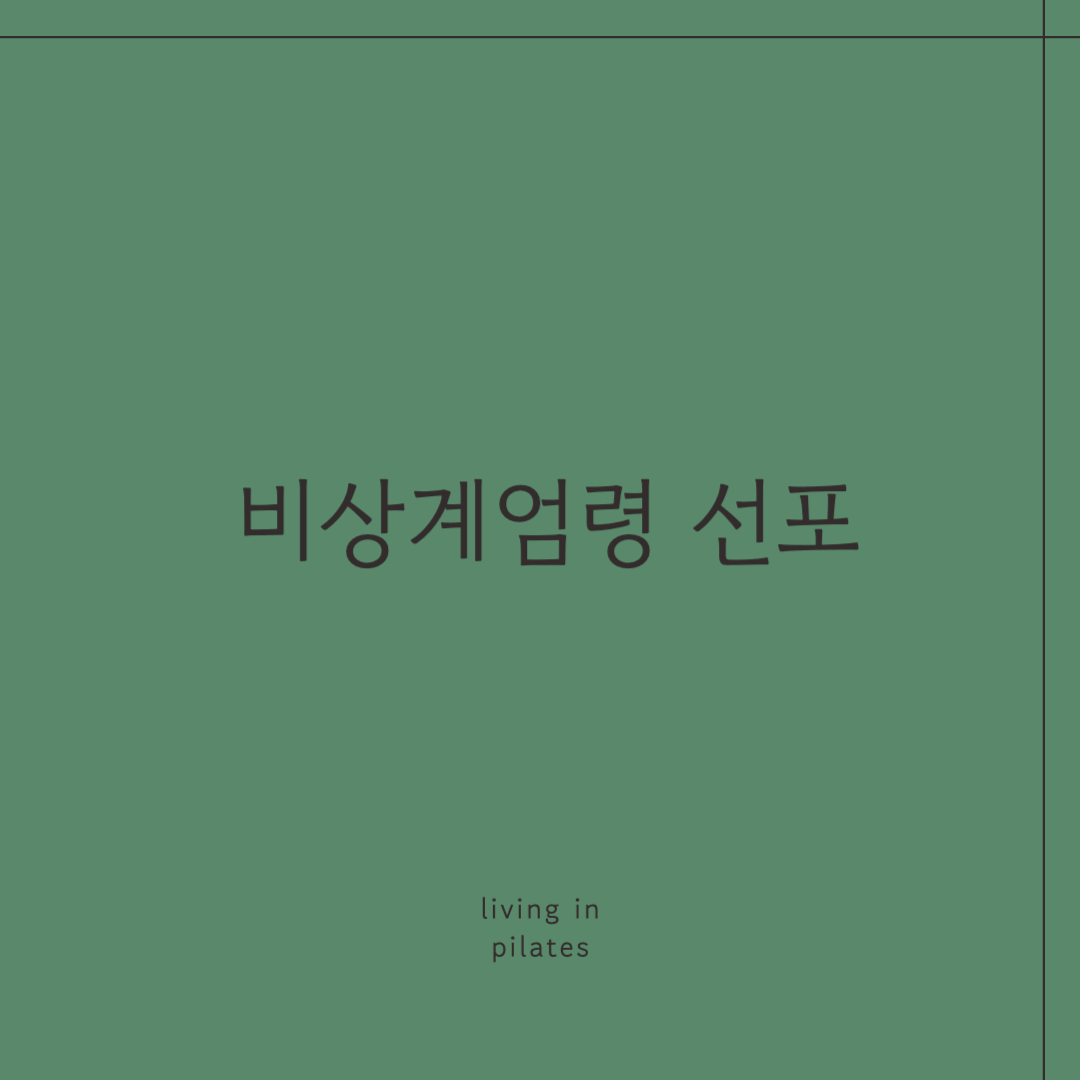 계엄령선포, 김용현 사의