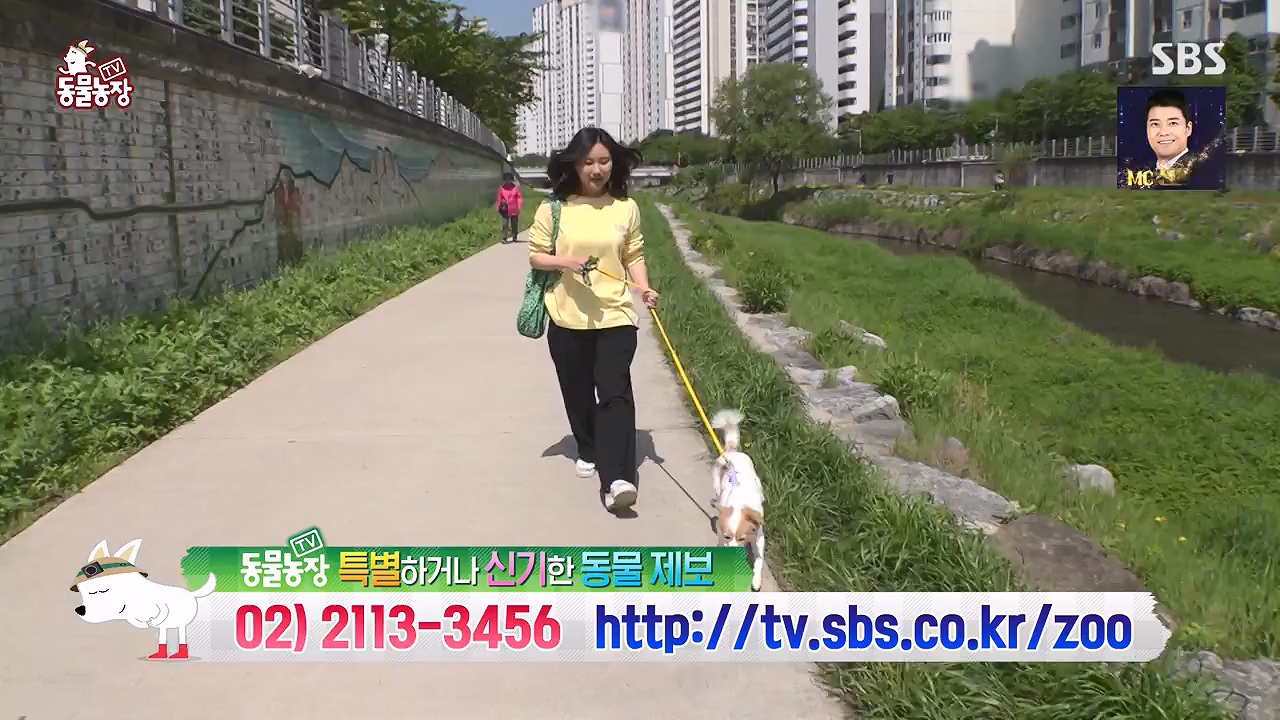 TV 동물농장.E1174.240603p-NEXT.mp4_20240602_155749.244.jpg