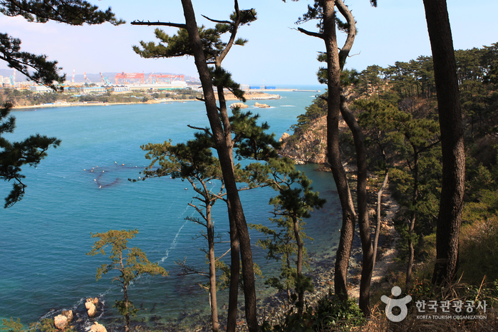 울산 해돋이 명소&amp;#44; 대왕암공원(울기공원) 정보 / 사진 = 대한민국 구석구석 [ 한국관광공사 ]