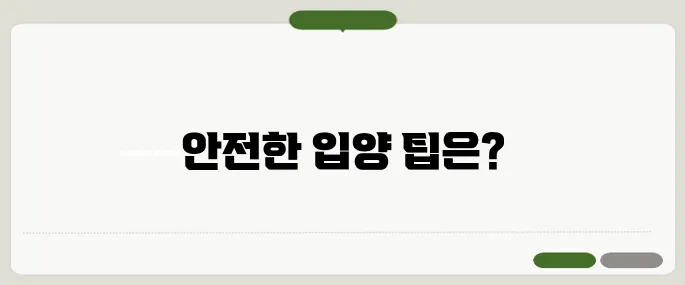 고양이 무료분양 안전하게 입양하는 법