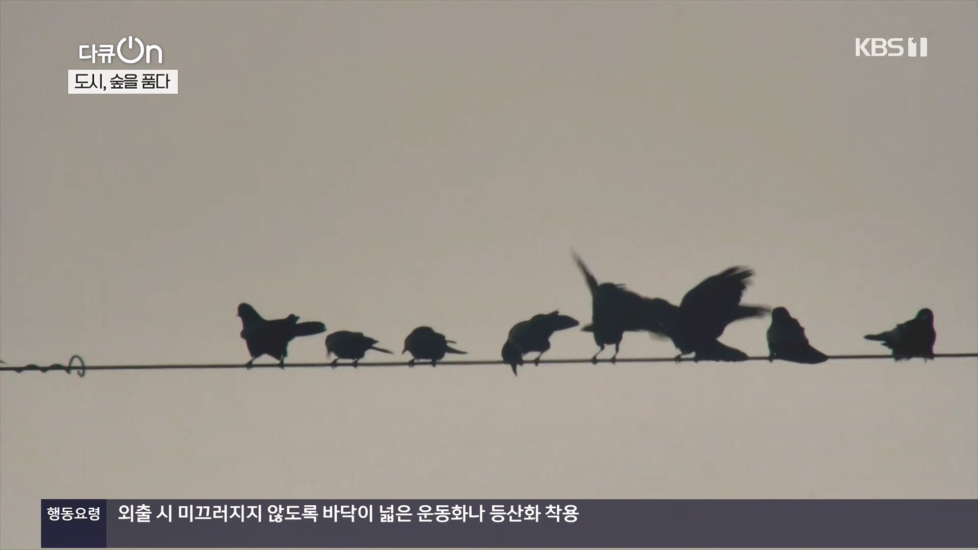 다큐 On.E232.231216p.H264-F1RST.mp4_20231220_210117.101.jpg