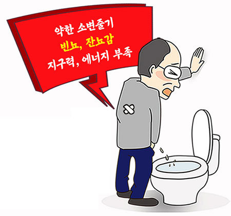전립선 비대증에 좋은 음식 - 영양제