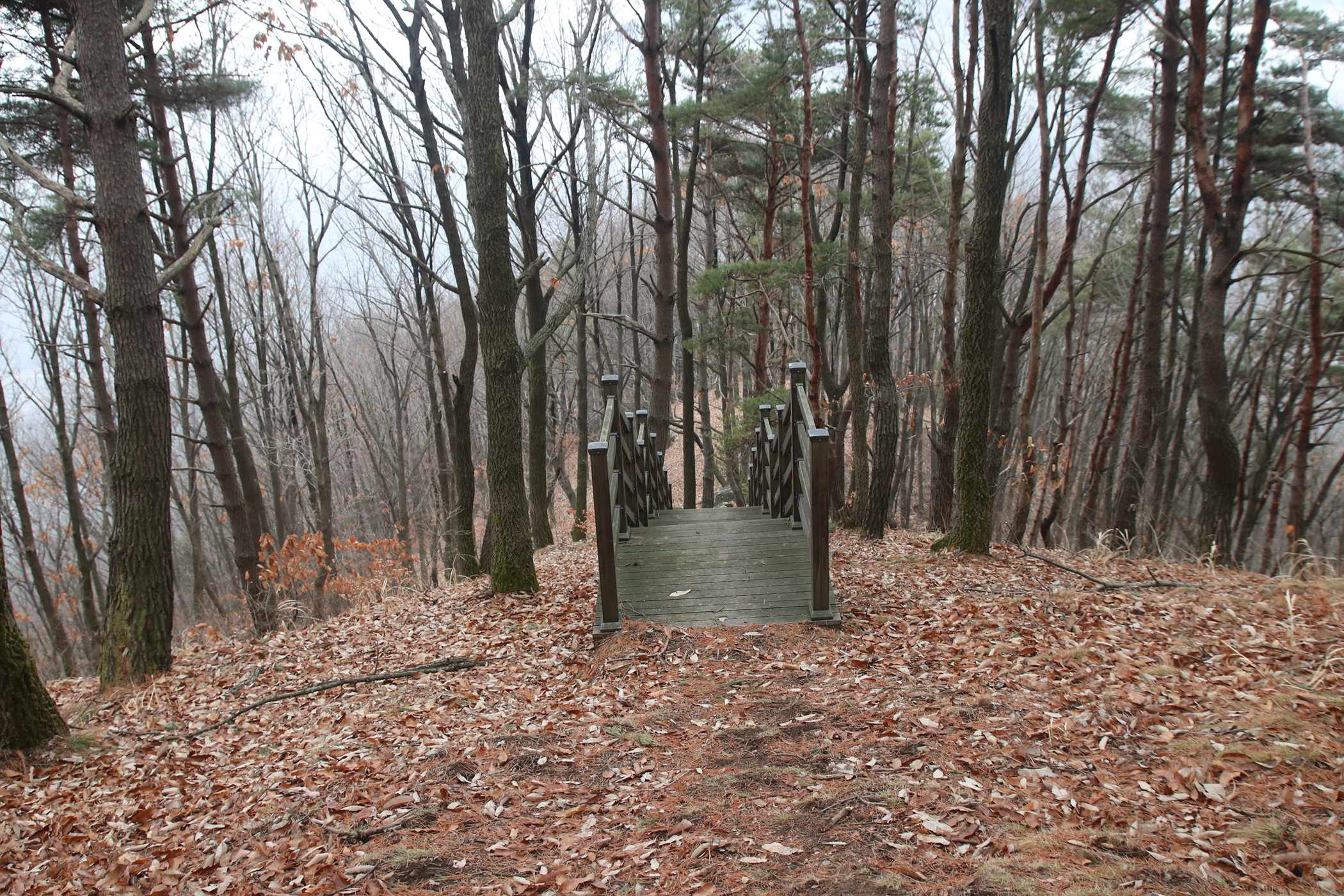 경남 의령군 국사봉 05 28