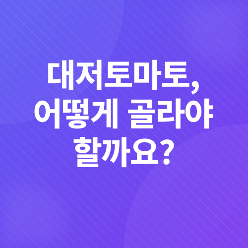 대저토마토_2