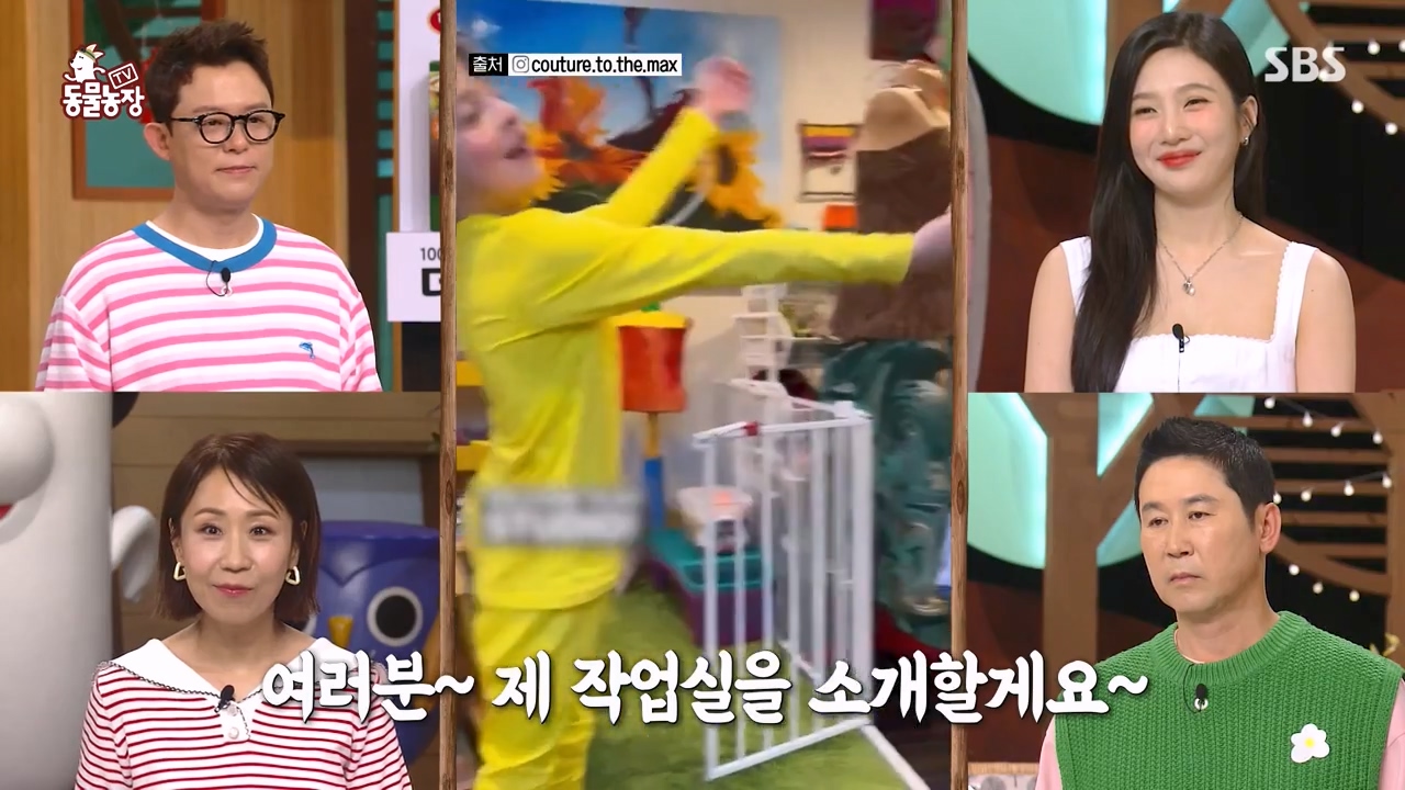 TV 동물농장.E1133.230814p-NEXT.mp4_20230813_171322.282.jpg