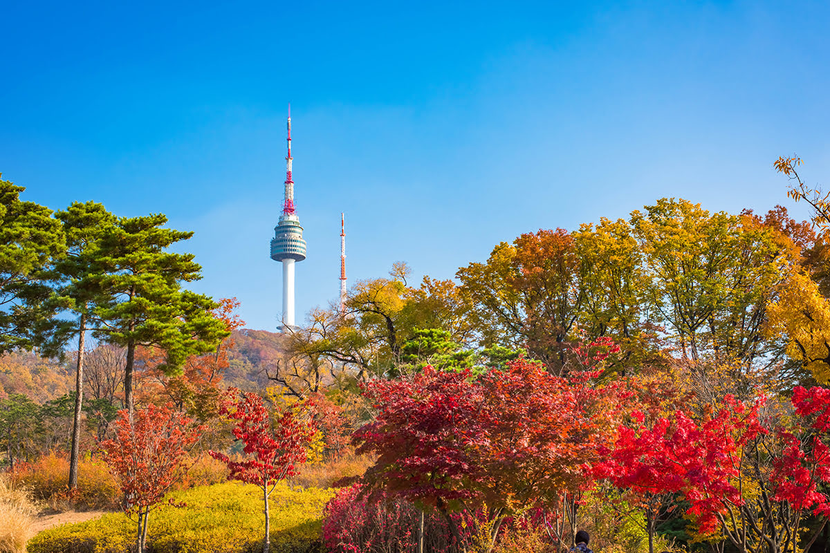 남산타워 단풍