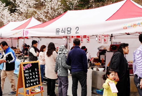 가평 벚꽃명소 에덴벚꽃길 벚꽃축제