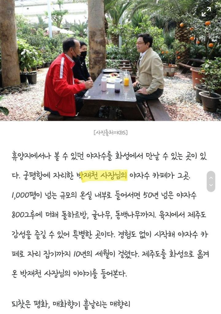 씨랜드 이미지