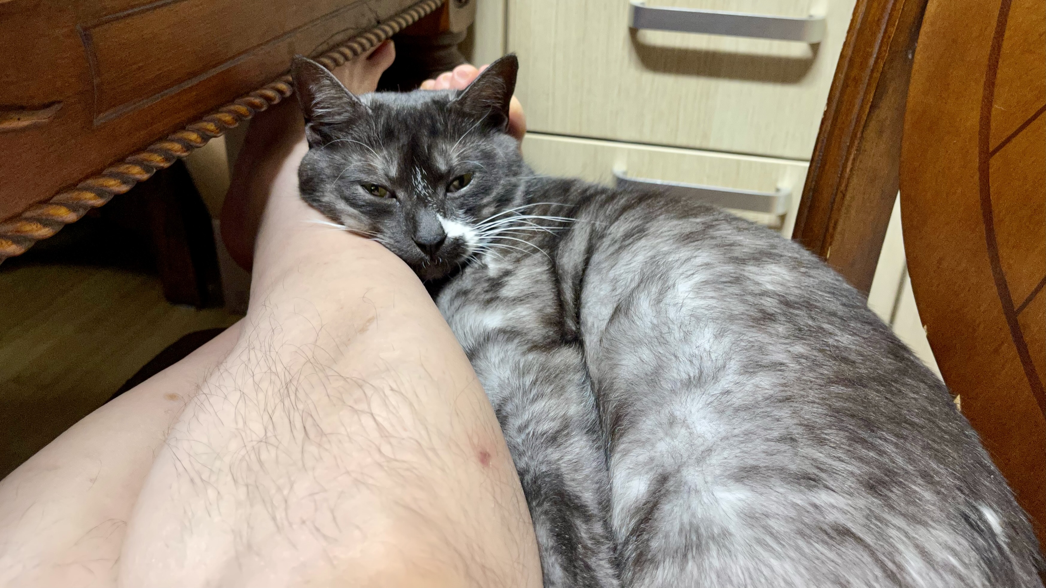 냥이_20220303 47