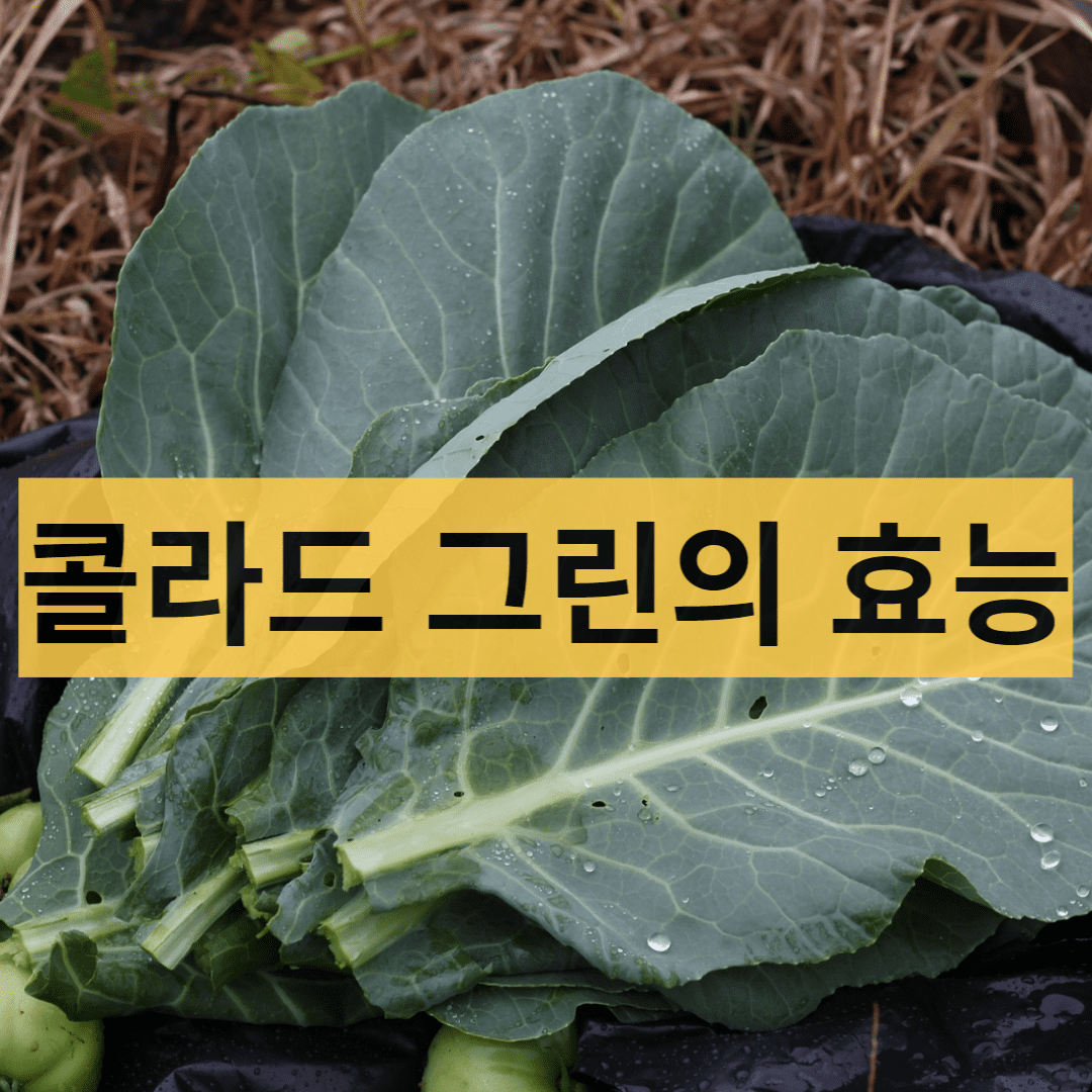  우울감을 해소해주는 콜라드 그린의 다양한 효능