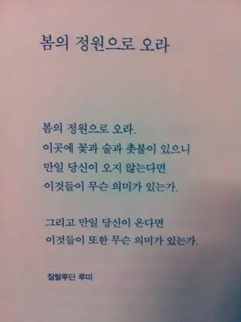루미 이미지