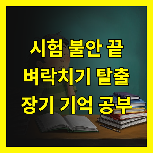 시험 불안 끝! 벼락치기 탈출, 장기