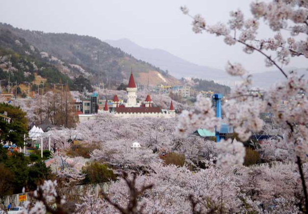 봄 여행지