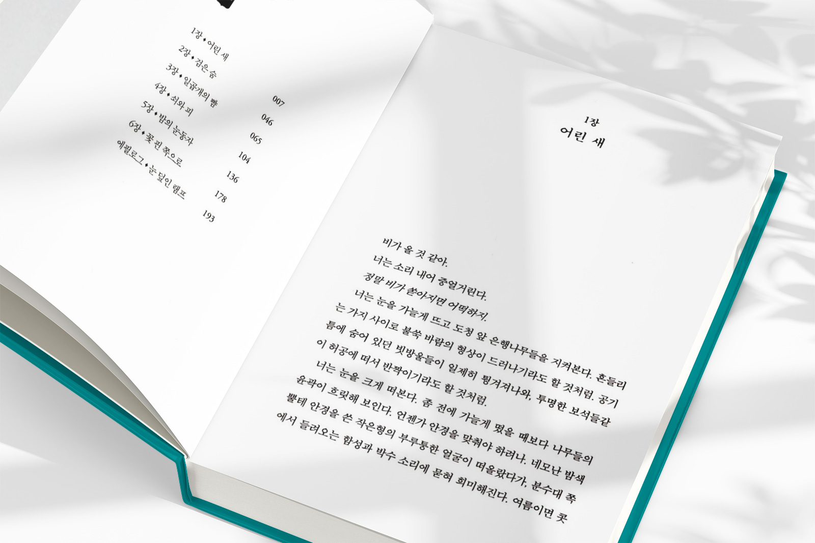 한강 '소년이 온다' 줄거리 내용 책 리뷰