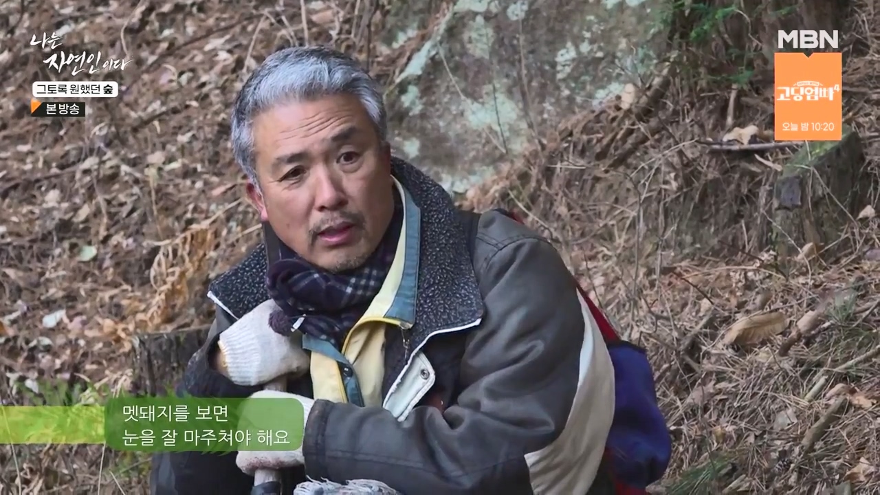 나는 자연인이다.E591.240132p-NEXT.mp4_20240201_194751.434.jpg
