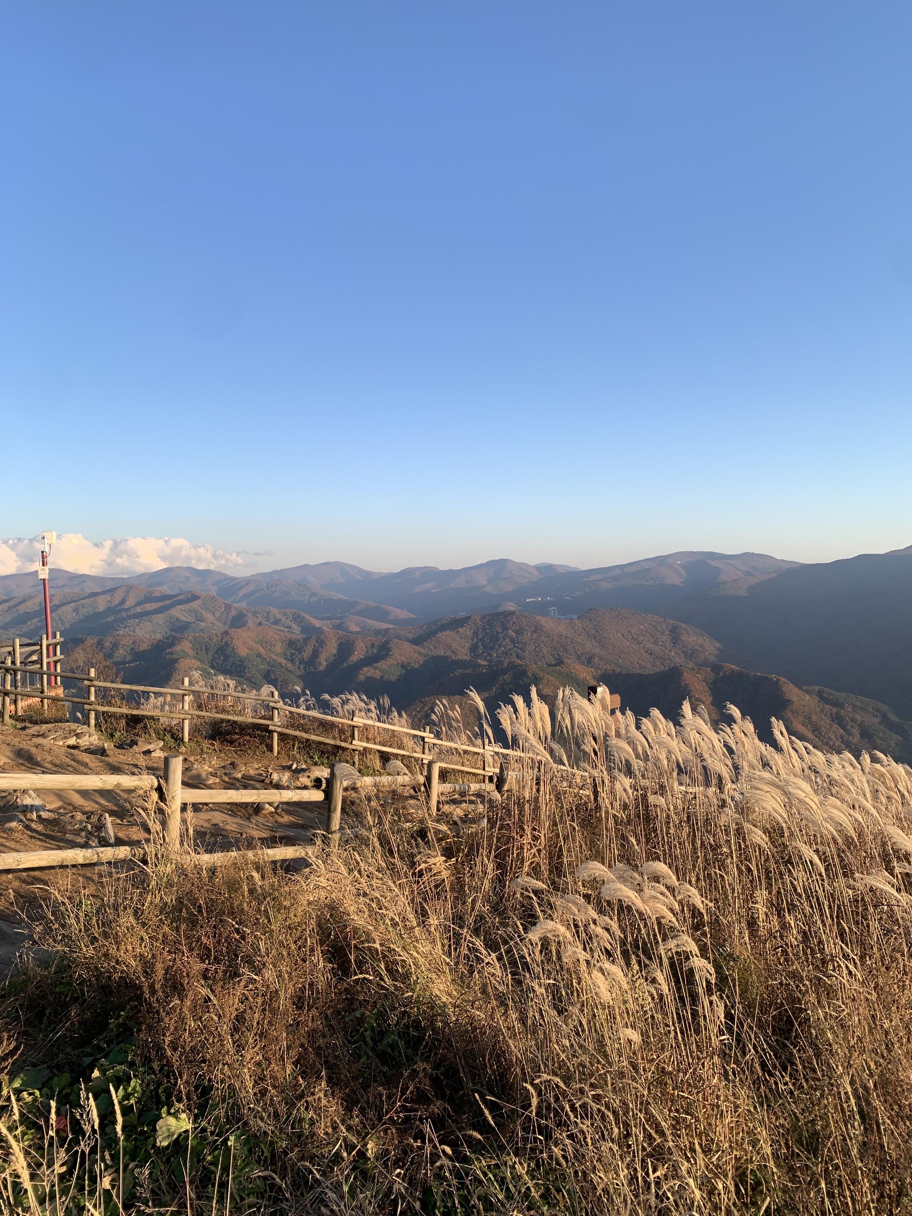 민둥산 억새축제