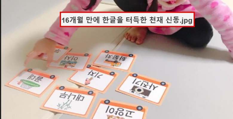  16개월만에 혼자 한글 마스터한 천재신동