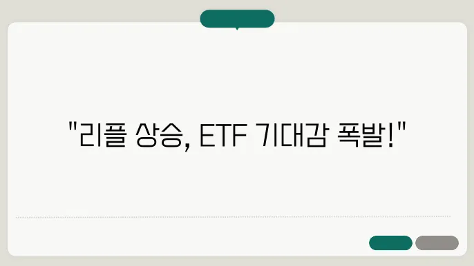 리플 시세 현물 ETF 관련 통계