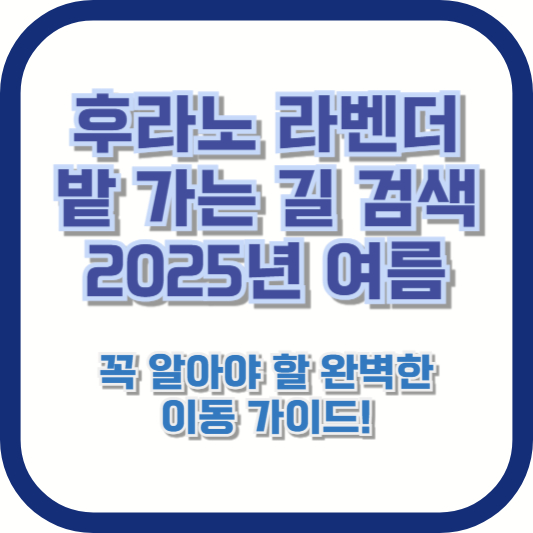 [후라노 라벤더 밭 가는 길 검색] 2025년 여름, 꼭 알아야 할 완벽한 이동 가이드!