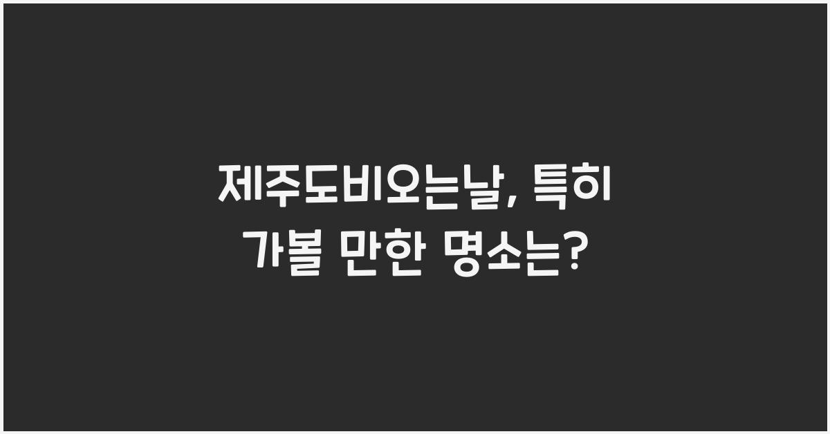 제주도비오는날