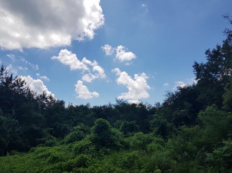 전원마트 이미지