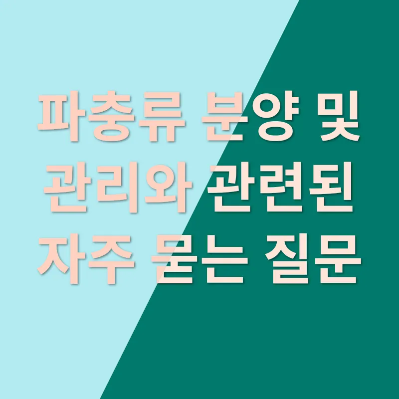 파충류 분양 쉽게 키우는 꿀팁_4