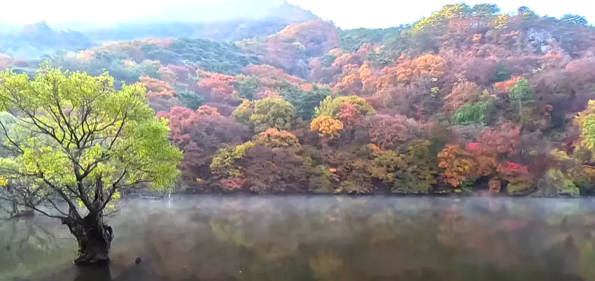 주왕산-주산지-단풍