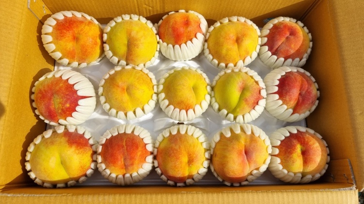 치유농장 연원당 이미지