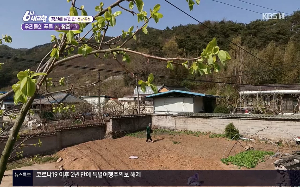 6시 내고향.E7511.220415p.H264-F1RST.mp4_20220425_174129.057.jpg