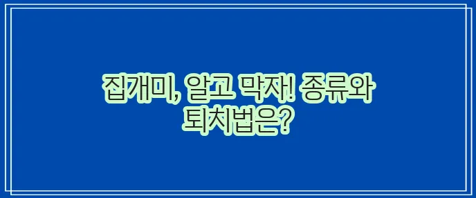 집개미 특성 파악 종류와 퇴치 방법으로 불청객 꼭 쫓아내세요!