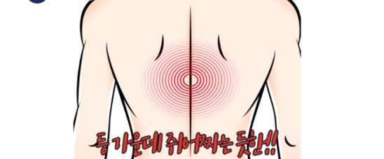 등 통증 원인