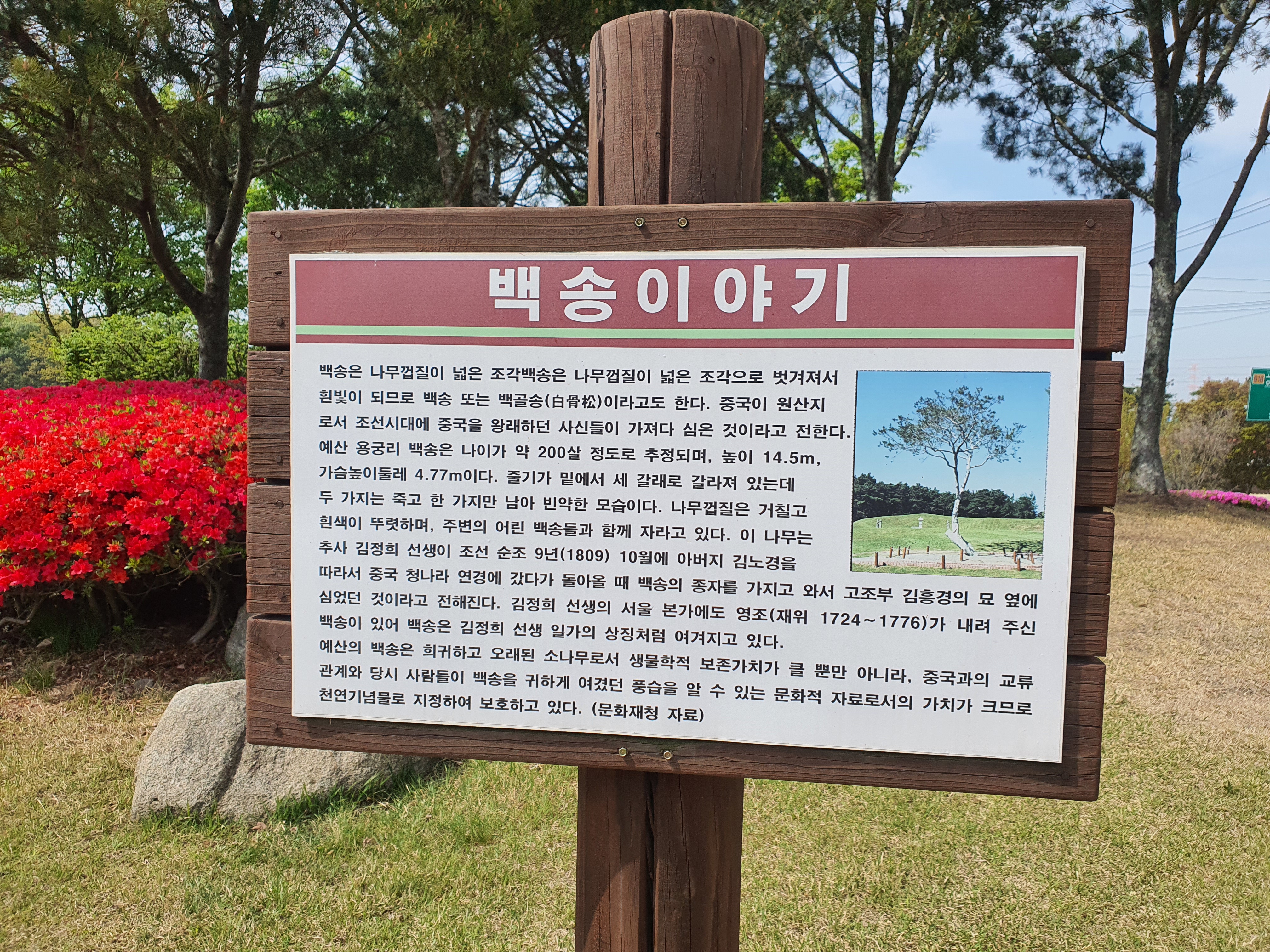 충남 예산 가볼만한곳 추사고택