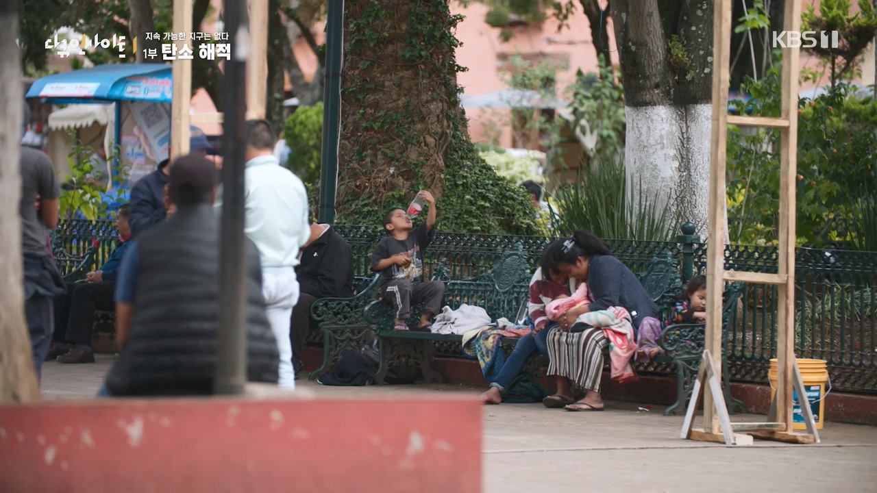 다큐 인사이트.E177.240112p-NEXT.mp4_20240113_155840.012.jpg