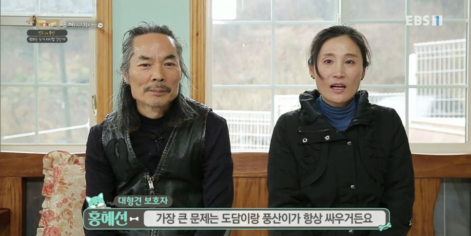 풍산개의치열한 혈투와 전쟁 - EBS 세상에 나쁜 개는 19