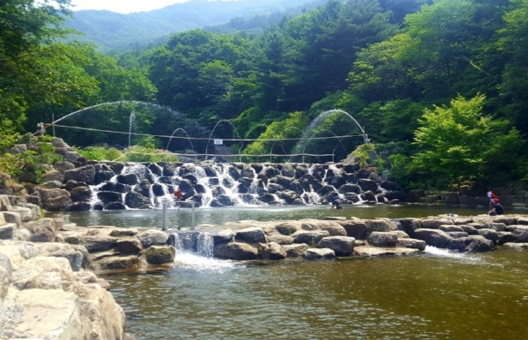 축령산 자연휴양림