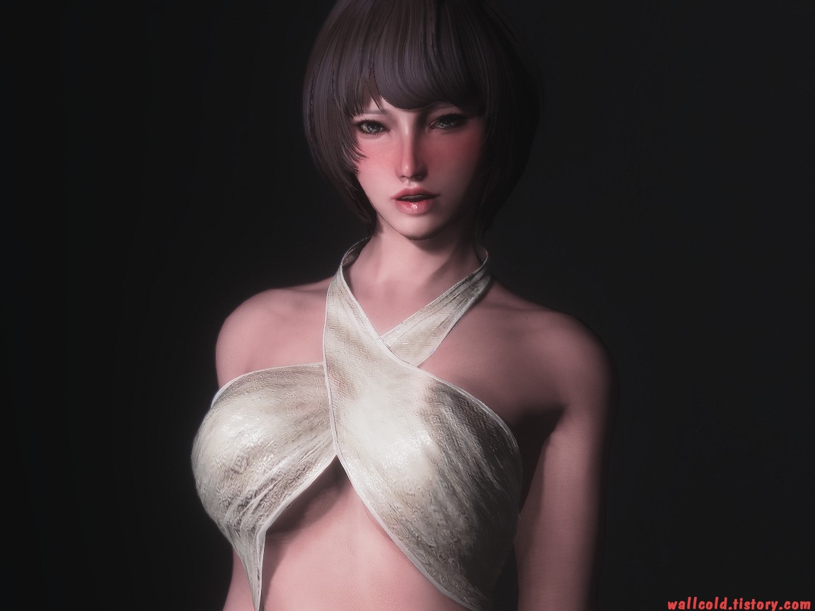 스카이림 의상 - 무희 의상 lingling clothes tbbp skyrim mod 001