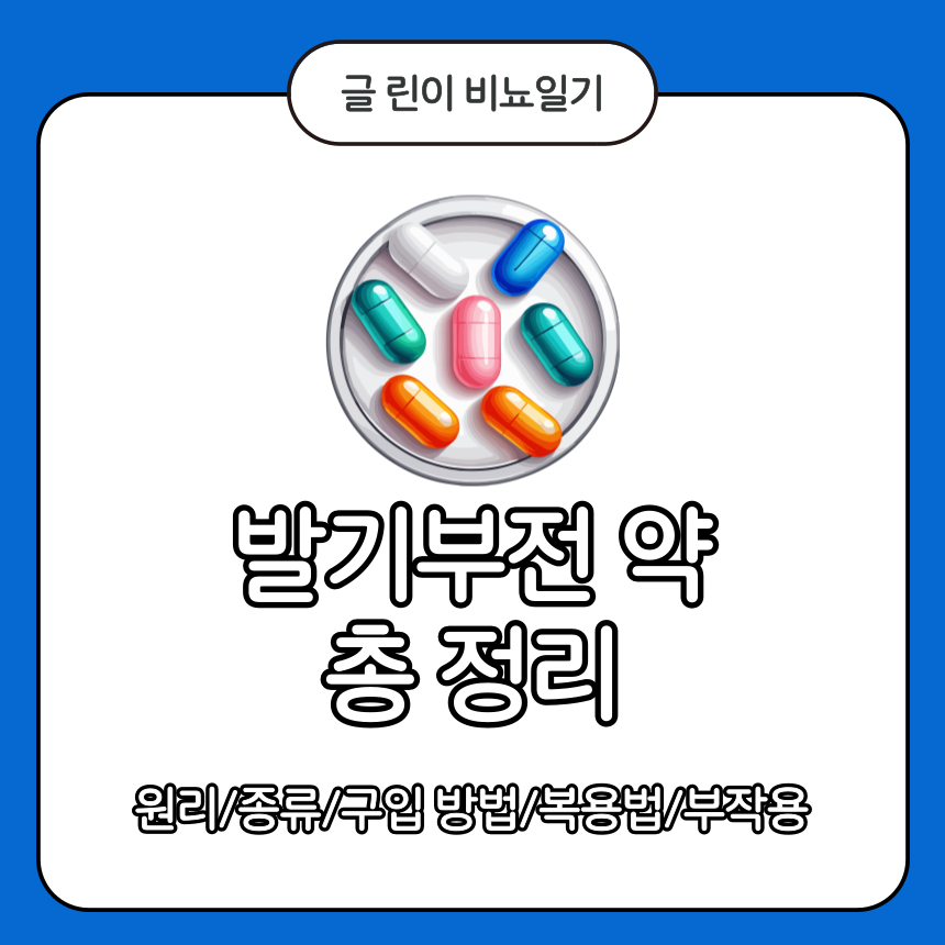  발기부전 약 총 정리