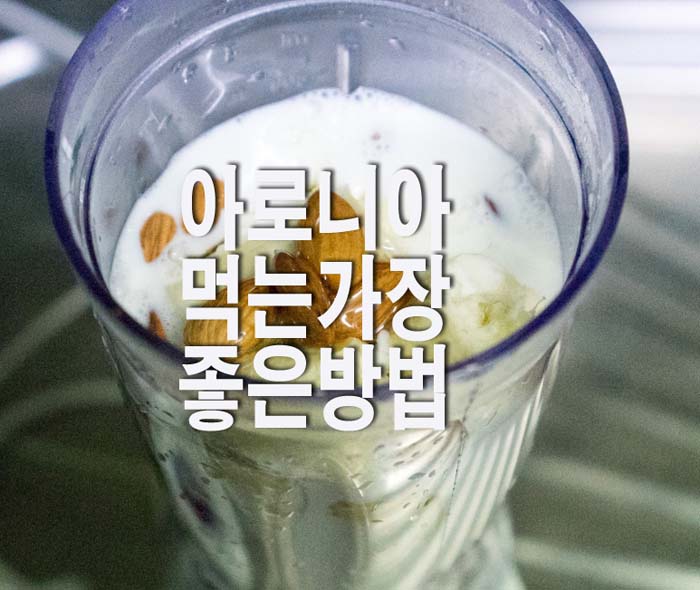  아로니아 먹는 가장 좋은 방법