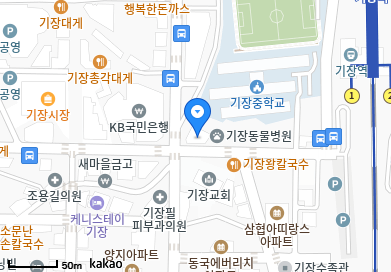부산 기장군 기장읍 일요일 진료 휴일 문 여는 병원