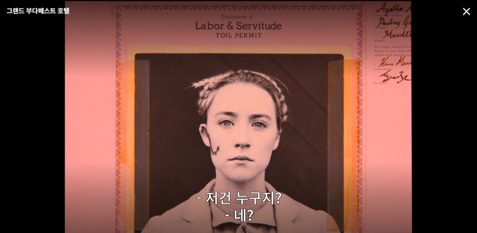 나오는 외국영화 추천 시얼샤 로넌 40