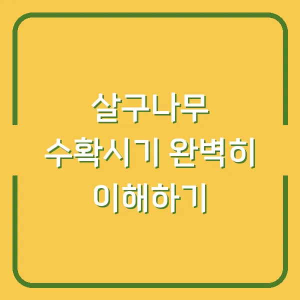 살구나무 수확시기 완벽히 이해하기