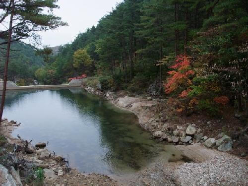 산림복지바우처