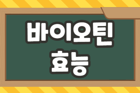 바이오틴 효능