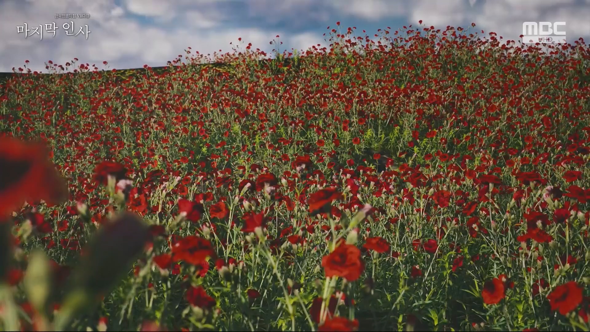 한국전쟁 특집 VR 다큐 마지막 인사.240625p.H264-F1RST.mp4_20240626_200627.957.jpg