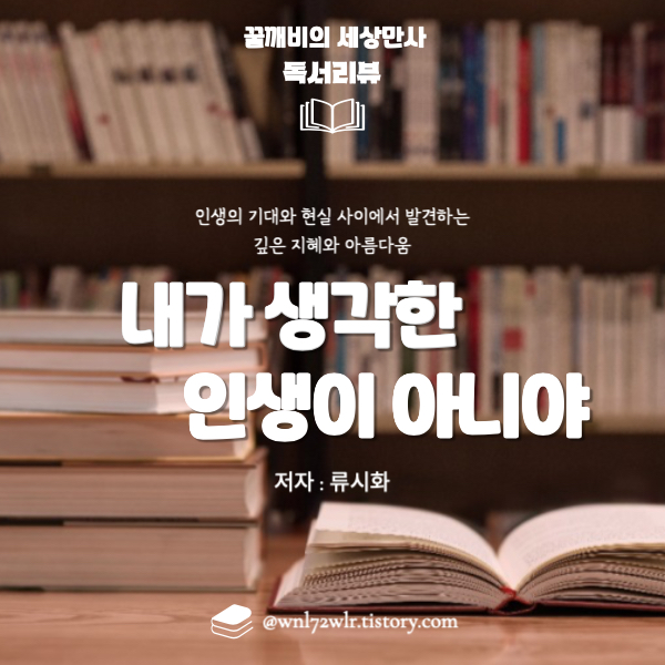 『내가 생각한 인생이 아니야』&nbsp;- 류시화 작품 심층분석